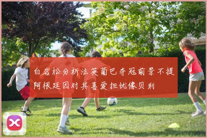 白岩松分析法英葡巴夺冠前景不提阿根廷因对其喜爱担忧像贝利